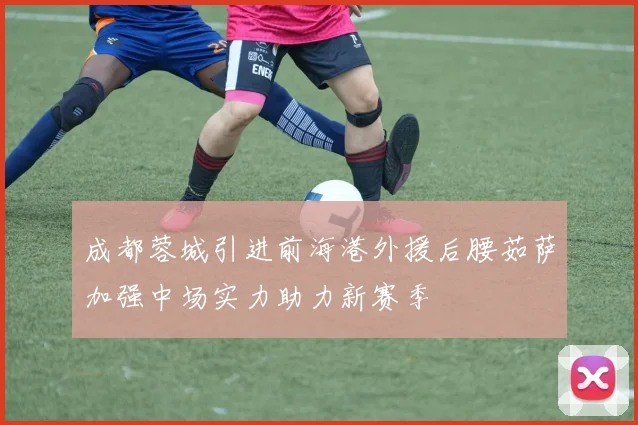 成都蓉城引进前海港外援后腰茹萨加强中场实力助力新赛季
