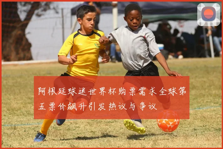 阿根廷球迷世界杯购票需求全球第五票价飙升引发热议与争议